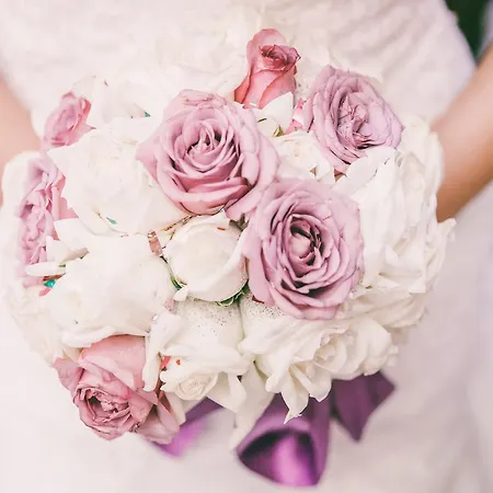 Jollas89 酒店 赫尔辛基